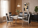Black and White Glass Dining Table