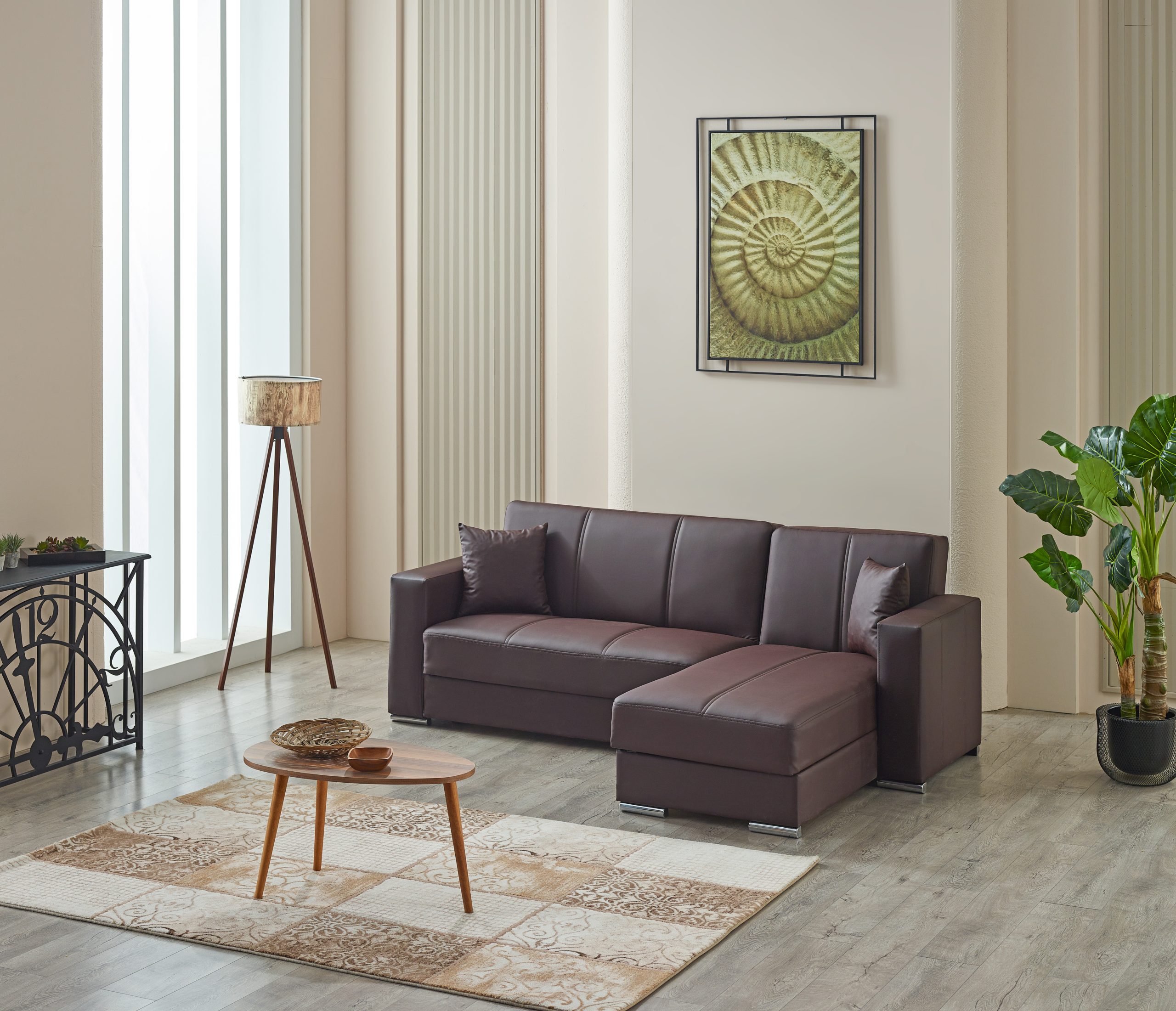Futuro Brown Corner Sofabed